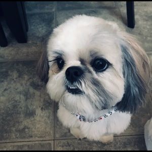 Meet your Posher, Tammy